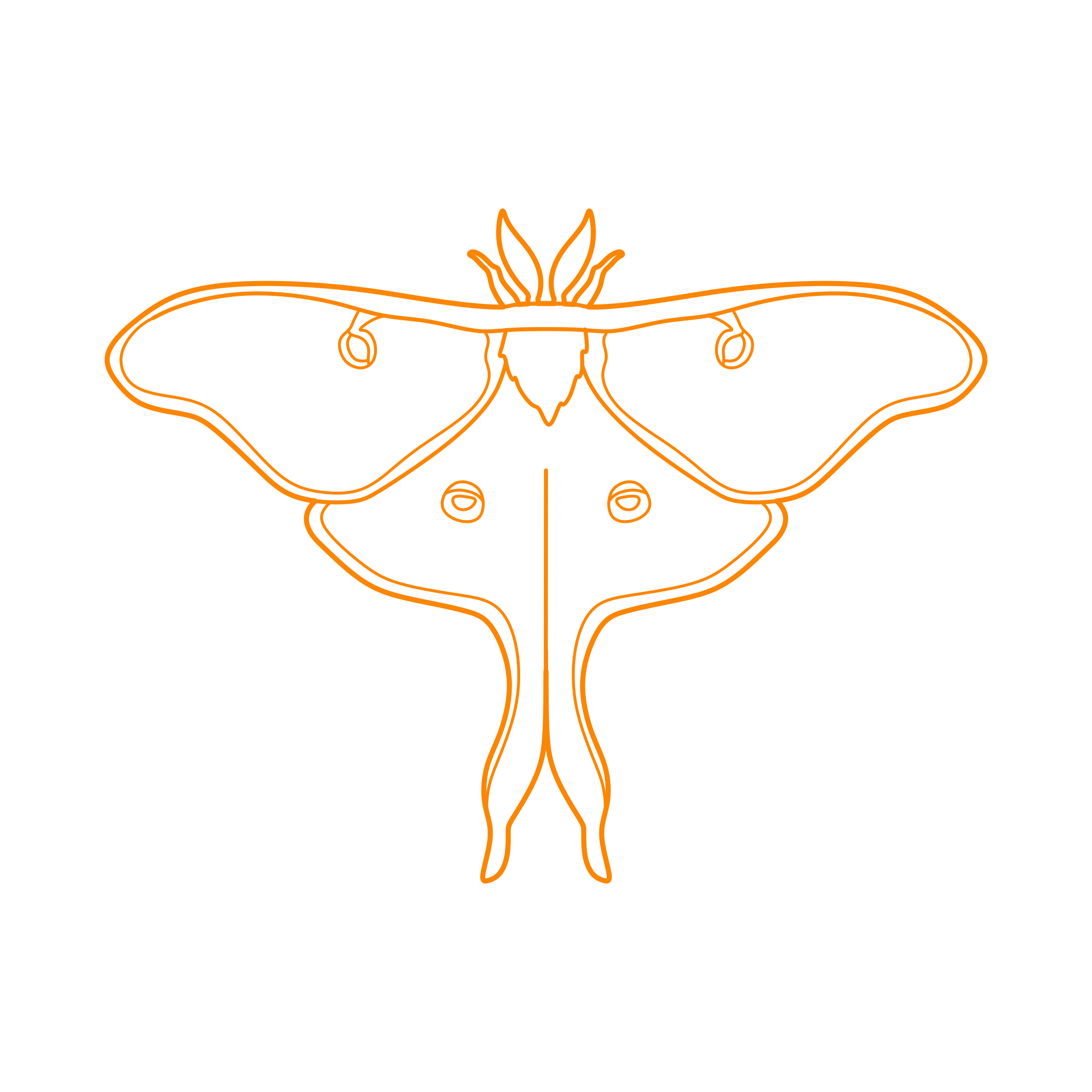 Animals Insects Luna Moth Contour Svg Vector Free Vectors